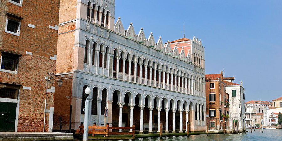 Natural History Museum of Venice